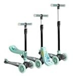 Análisis de los mejores patinetes verdes: ¡La nueva tendencia eco-friendly en movilidad eléctrica!