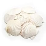 Análisis de electrodomésticos: descubre las ofertas de la ferretería en Premià de Mar Análisis de electrodomésticos: descubre las ofertas de la ferretería en Premià de Mar