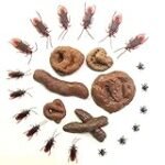 Elimina las cacas de cucarachas con los mejores electrodomésticos: Análisis y comparación